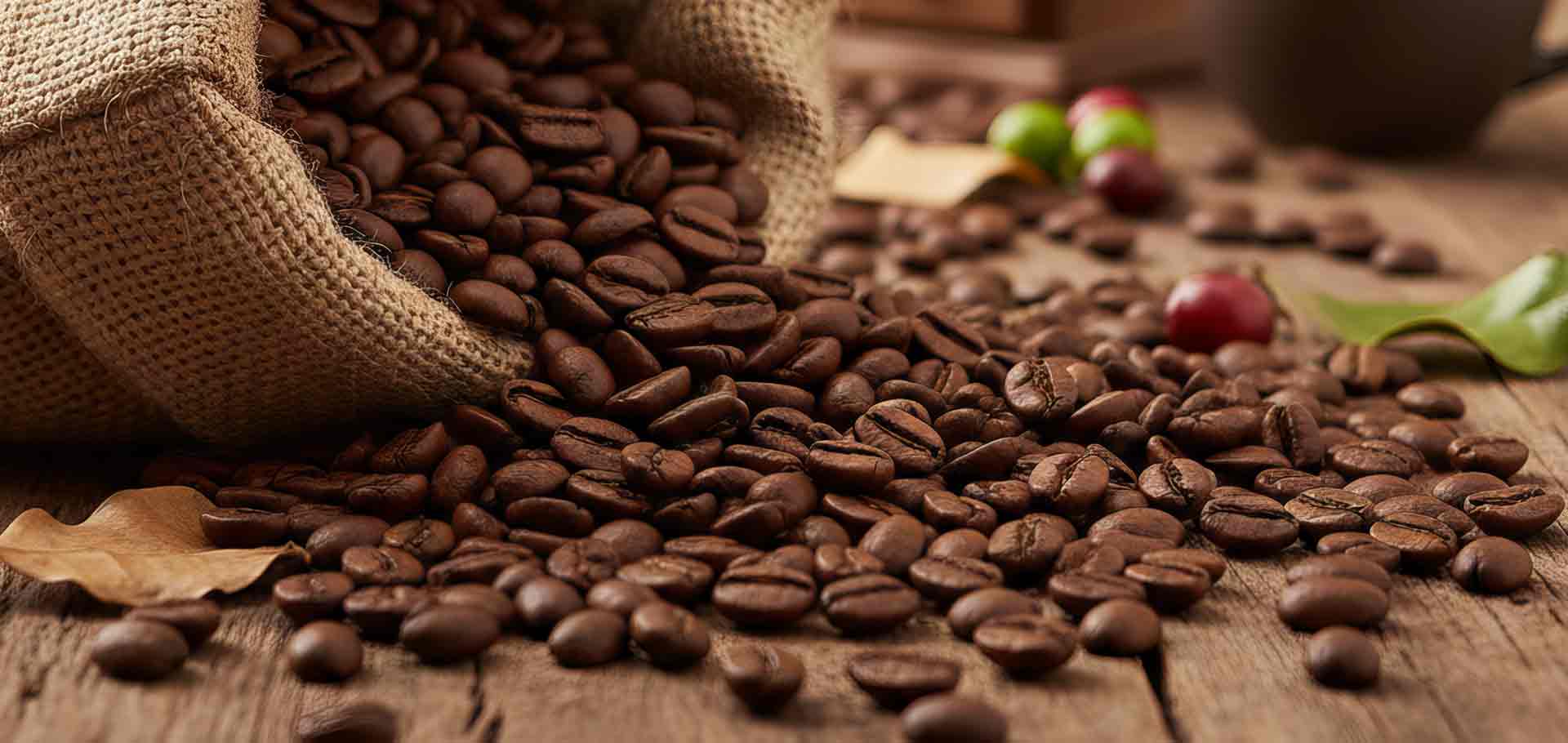 cafebrasil.dk kontakt
